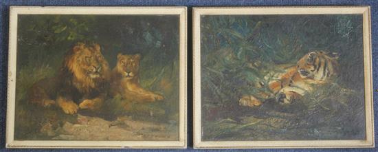 Cuthbert Edmund Swan (Irish, 1870-1931) Studies of lions and a tiger, 6.75 x 8.5in.